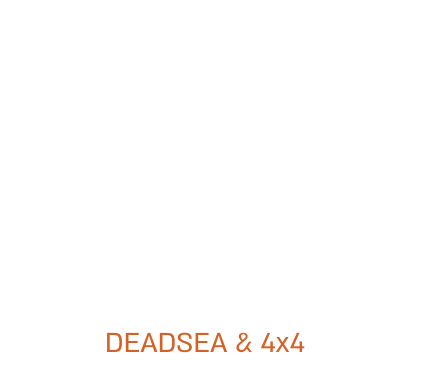 ספארי טורס לוגו